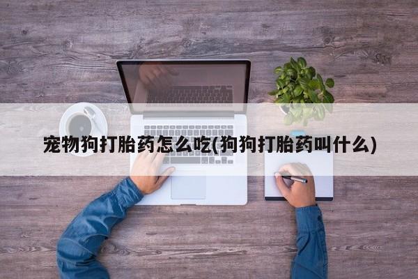推荐个卖打胎药微信联系方式宠物狗打胎药怎么吃(狗狗打胎药叫什么)