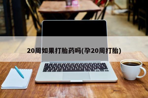 推荐个卖打胎药微信联系方式20周如果打胎药吗(孕20周打胎)