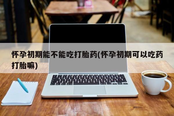 推荐个卖打胎药微信联系方式怀孕初期能不能吃打胎药(怀孕初期可以吃药打胎嘛)